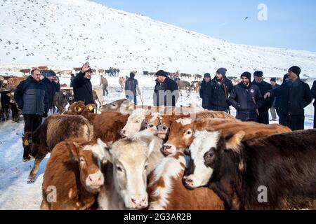 Les acheteurs et les vendeurs négocient sur le marché de l'élevage.Kars, Turquie - 01/26/2016 Banque D'Images