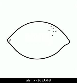 Le citron est entier. Illustration vectorielle en style Doodle. Illustration de Vecteur