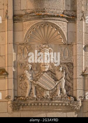 FRANCE - VAL DE LOIRE - LOIR ET CHER (41) - CHÂTEAU DE CHAUMONT SUR LOIRE : ENTRÉE PRINCIPALE : DÉCORATION SCULPTÉE, SITUÉE SUR LE MUR À DROITE DU D Banque D'Images