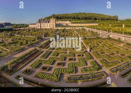 FRANCE - VAL DE LOIRE - INDRE ET LOIRE (37) - CHÂTEAU DE VILLANDRY : CHÂTEAU DE VILLANDRY ET SES JARDINS : VUE AU MILIEU DU JARDIN POTAGER Banque D'Images