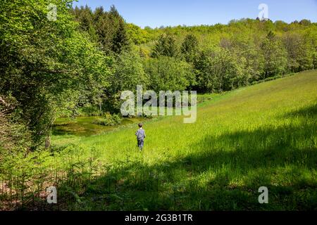 garçon marchant seul dans le pré, garçon, enfant,, enfance, champ, herbe, vert, enfant, prairie, nostalgique, extérieur, extérieur, personnes, personne, été, marche Banque D'Images