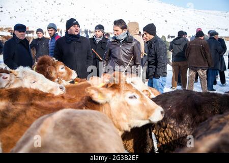 Les acheteurs et les vendeurs négocient sur le marché de l'élevage.Kars, Turquie - 01/26/2016 Banque D'Images