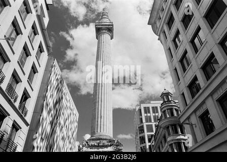 Le Monument de la ville de Londres, Royaume-Uni, avec ses bureaux environnants Banque D'Images