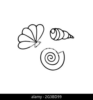 Ensemble d'été vectoriel de coquillages. Escargots de mer à contour noir isolés sur fond blanc. Image de Doodle Shells. Habitants marins stylisés. Papier dessiné à la main Illustration de Vecteur