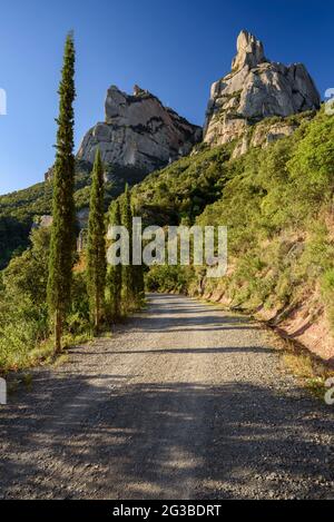 Sentier près du monastère Santa Cecília, sur le versant nord de la montagne de Montserrat (Bages, Barcelone, Catalogne, Espagne) Banque D'Images