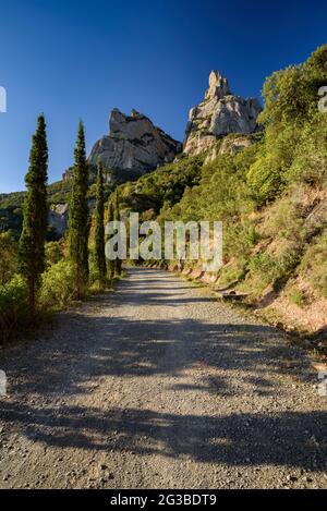 Sentier près du monastère Santa Cecília, sur le versant nord de la montagne de Montserrat (Bages, Barcelone, Catalogne, Espagne) Banque D'Images