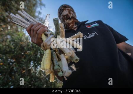 Gaza, Territoires palestiniens. 15 juin 2021. Les Palestiniens masqués se préparent à libérer des ballons remplis de gaz réfrigérant, fixés à des dispositifs incendiaires et à des matières inflammables, qui seront propulsés par le vent dans le territoire israélien, à partir d'une zone située à l'est de la ville de Gaza. Israël se vante mardi d'une marche controversée du drapeau à travers Jérusalem, avec la crainte d'une nouvelle flambée de violence, alors que quelque 5,000 nationalistes de droite doivent défiler à travers la vieille ville de Jérusalem en brandant le drapeau bleu et blanc d'Israël. Credit: Mohammed Talatene/dpa/Alay Live News Banque D'Images