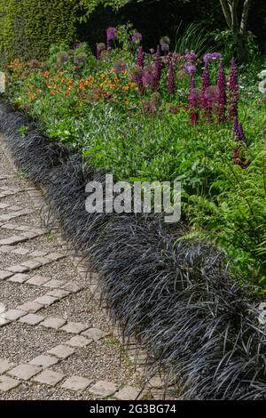 Une frontière vivace pleine de lupins et d'alliums à fleurs violettes, et de gées orange au York Gate Garden, Leeds, le long d'un chemin bordé de mondo noir. Banque D'Images