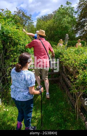 Des Ramblers grimpant sur une pilotis en bois sur un sentier dans la campagne à l'est du village de Plumpton Green, East Sussex, Angleterre. Banque D'Images