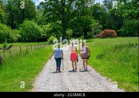 Trois femelles marchent le long d'une piste de gravier dans la campagne entre Plumpton Green et South Chailey dans East Sussex, Angleterre. Banque D'Images