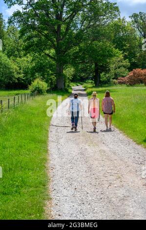Trois femelles marchent le long d'une piste de gravier dans la campagne entre Plumpton Green et South Chailey dans East Sussex, Angleterre. Banque D'Images