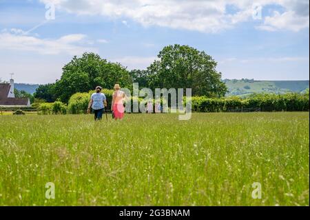 Un groupe de ramblers qui marchent sur un champ de haute herbe avec les South Downs qui montent au loin dans East Sussex, en Angleterre. Banque D'Images