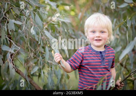 Adorable enfant australien blond avec un t-shirt rayé qui recueille des brindilles avec des feuilles Banque D'Images