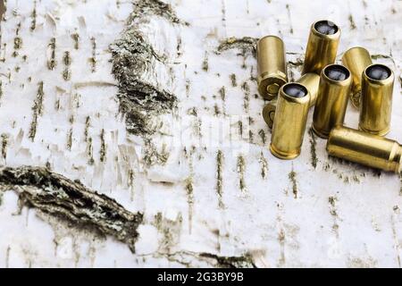 Huit cartouches pour un pistolet traumatique sur fond de bouleau en bois Banque D'Images