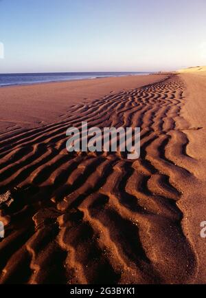 Plage de hareng Cove de Cape Cod Banque D'Images