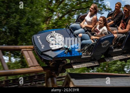 Série de photos de Duinrell Theme Park the Netherlands inc Flacon, Dragonfly Wild Wings Splash Summer vaction Fun Banque D'Images