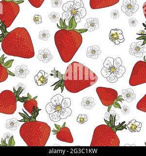Fond vectoriel jardin fraises, fleurs de baies, fruits de baies. Arrière-plan sans couture Illustration de Vecteur