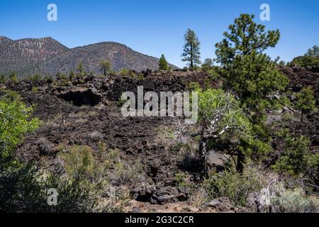 Coulée de lave dans le monument national du volcan Sunset Crater près de Flagstaff en Arizona Banque D'Images