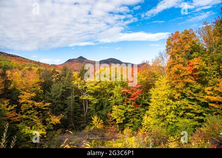 Belle forêt de montagne au sommet de l'automne feuillage sous ciel bleu avec des nuages Banque D'Images