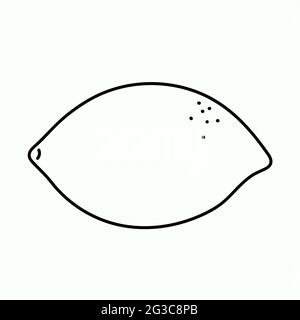 Le citron est entier. Illustration vectorielle en style Doodle. Illustration de Vecteur