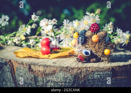 figurine d'automne créative de hérisson de fruits et baies colorés Banque D'Images