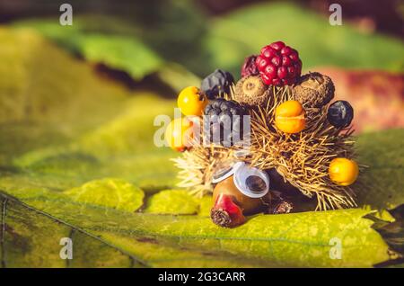 figurine d'automne créative de hérisson de fruits et baies colorés Banque D'Images