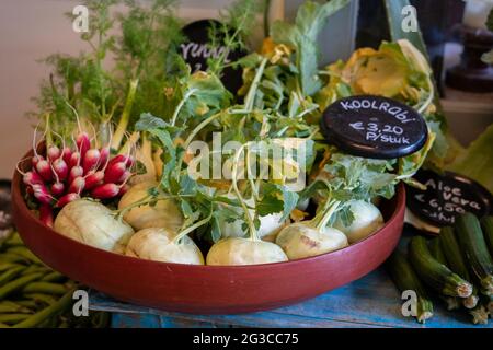 Une variété de légumes frais présentés dans un bol avec des radis et du chou-rave ou du navet allemand, horizontal Banque D'Images