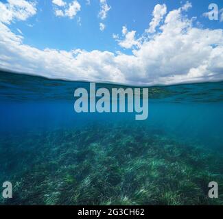 Paysage marin avec herbe sous l'eau et ciel bleu avec nuage, vue partagée sur et sous la surface de l'eau, mer Méditerranée Banque D'Images