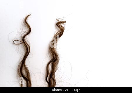 Rallonge de cheveux en forme de curly Brunette isolée sur fond blanc Banque D'Images