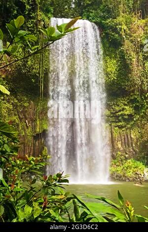 Il y a une zone d'observation accessible et un magnifique trou naturel aux chutes de Millaa Millaa Banque D'Images