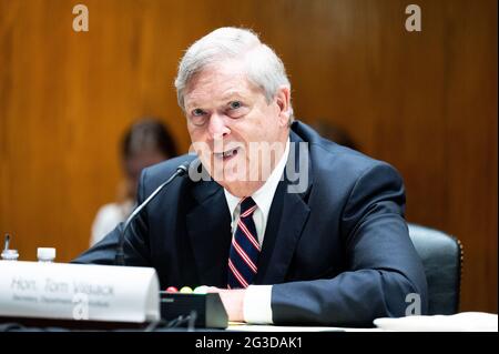 Washington, États-Unis. 15 juin 2021. Le secrétaire américain à l'Agriculture, Tom Vilsack, prend la parole à l'audience du Comité des crédits du Sénat. Crédit : SOPA Images Limited/Alamy Live News Banque D'Images