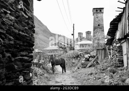 Un cheval sur une rue à Ushguli, Svaneti, Géorgie Banque D'Images