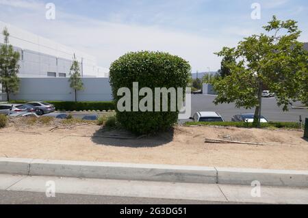 Valence, Californie, États-Unis 15 juin 2021 UNE vue générale de l'atmosphère de l'acteur Paul Walker accident de voiture fatale lieu au 28385 Constellation Road où Roger Rodas conduisait avec Paul Walker le 30 novembre 2013 et ils se sont écrasé ici à Valence, Californie, États-Unis. Photo par Barry King/Alay stock photo Banque D'Images