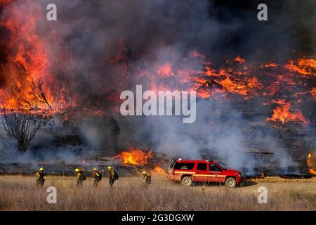 Los Angeles, Californie, États-Unis. 15 juin 2021. Les pompiers combattent le feu de broussailles dans la zone de loisirs du barrage de Santa Fe, à Irwindle, en Californie, le mardi 15 juin, 2021. Credit: Ringo Chiu/ZUMA Wire/Alay Live News Banque D'Images