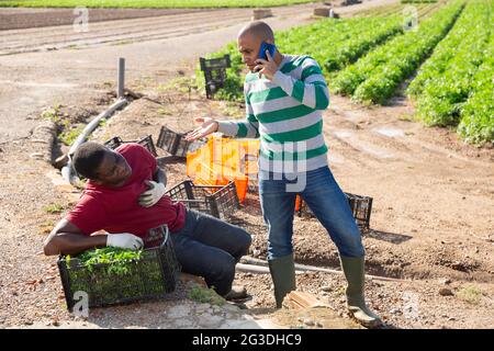 Travailleur agricole souffrant de douleur, homme appelant un médecin Banque D'Images