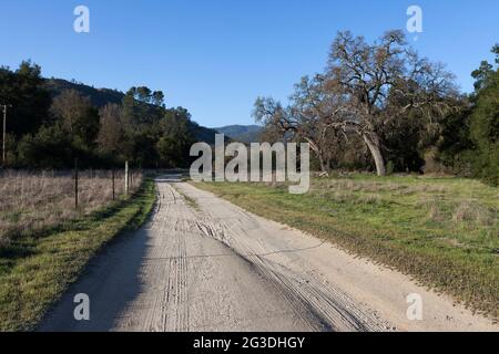 Le chemin Bacon dans le parc national de Pinnacles et était autrefois la route vers le monument national de Pinnacles en Californie. Banque D'Images