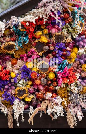 Exposition de fleurs séchées au piano dans les jardins de RHS Wisley. Surrey, Angleterre Banque D'Images