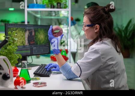 Biologiste chercheur tenant dans les mains vegan échantillon de viande de boeuf analysant génétiquement modifié nourriture végétarienne. Scientifique travaillant en laboratoire de biochimie recherchant l'expertise médicale biologique. Banque D'Images