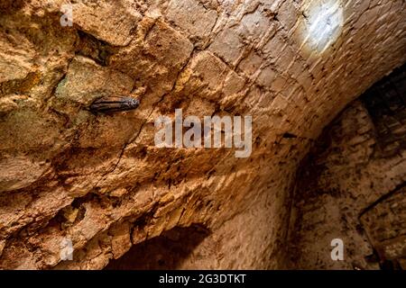 Couloir étroit dans le donjon de Lutsk en Ukraine Banque D'Images