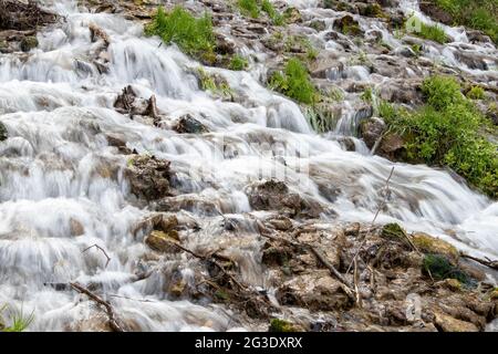 Ruisseau de forêt froide millénaire, rapides de rivière à écoulement rapide, exposition longue Banque D'Images