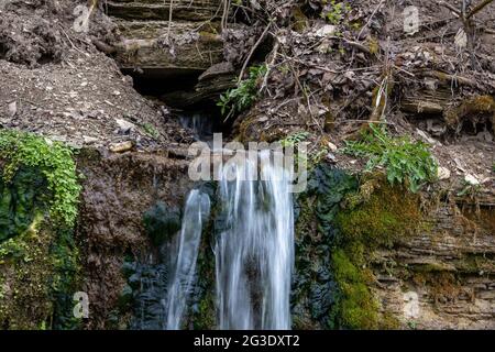 Ruisseau de forêt froide millénaire, petites cascades sur les rochers avec de la mousse glissante Banque D'Images