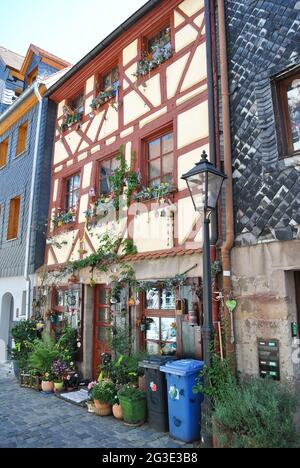 La façade de l'ancien bâtiment est tressée par des plantes vertes et une entrée décorée Banque D'Images
