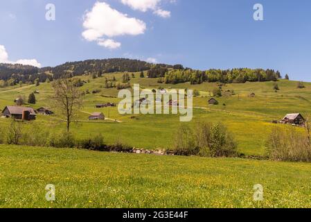 Paysage à Toggenburg avec des pâturages verts et des maisons de ferme, canton de Saint-Gall, Suisse Banque D'Images