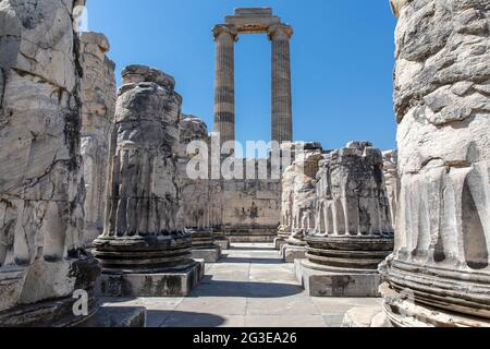 Les ruines du temple Didyma Apollon, Aydın, Turquie. Banque D'Images