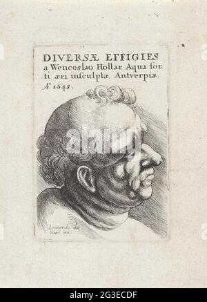 Chef d'un homme plus âgé, et profil; différents chefs à Léonard de Vinci; Diversee effigies. . Banque D'Images