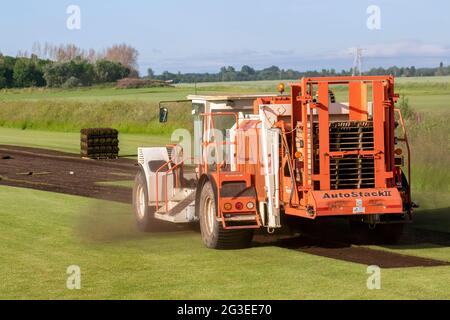 Tarleton, Lancashire. Météo au Royaume-Uni 16 juin 2021. Conditions sèches et poussiéreuses et ensoleillées pour les agriculteurs qui récoltent des pelouses cultivées dans le commerce avec une machine de coupe Trebro AutoStack II. AutoStackers sont le premier choix dans le monde des producteurs automatiques de gazon, pour satisfaire la demande des constructeurs locaux qui ont régulièrement besoin de gazon pour de nouveaux logements où les pelouses sont utilisées autour des maisons, des appartements, des bâtiments commerciaux et des installations sportives . Crédit; MediaWorldImages/AlamyLiveNews Banque D'Images