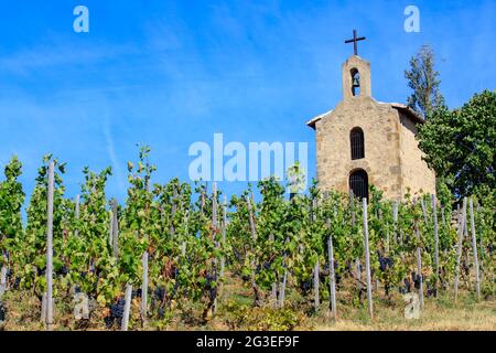 FRANCE. DRÔME (26) TAIN L'HERMITAGE LA VOÛTE SAINT CHRISTOPHE LE VIGNOBLE DE L'HERMITAGE Banque D'Images