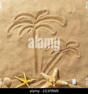 Palmiers dessinés sur le sable et l'étoile de mer, vue de dessus Banque D'Images