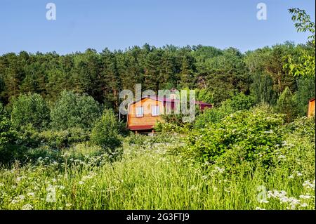 maison rurale en bois parmi les arbres denses, en été Banque D'Images