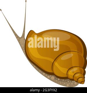 Escargot, coque. Isolé sur blanc. Monde sous-marin. Illustration vectorielle Illustration de Vecteur
